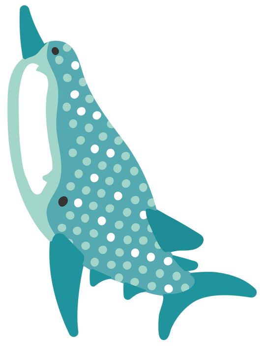 海の生き物_ジンベイザメ