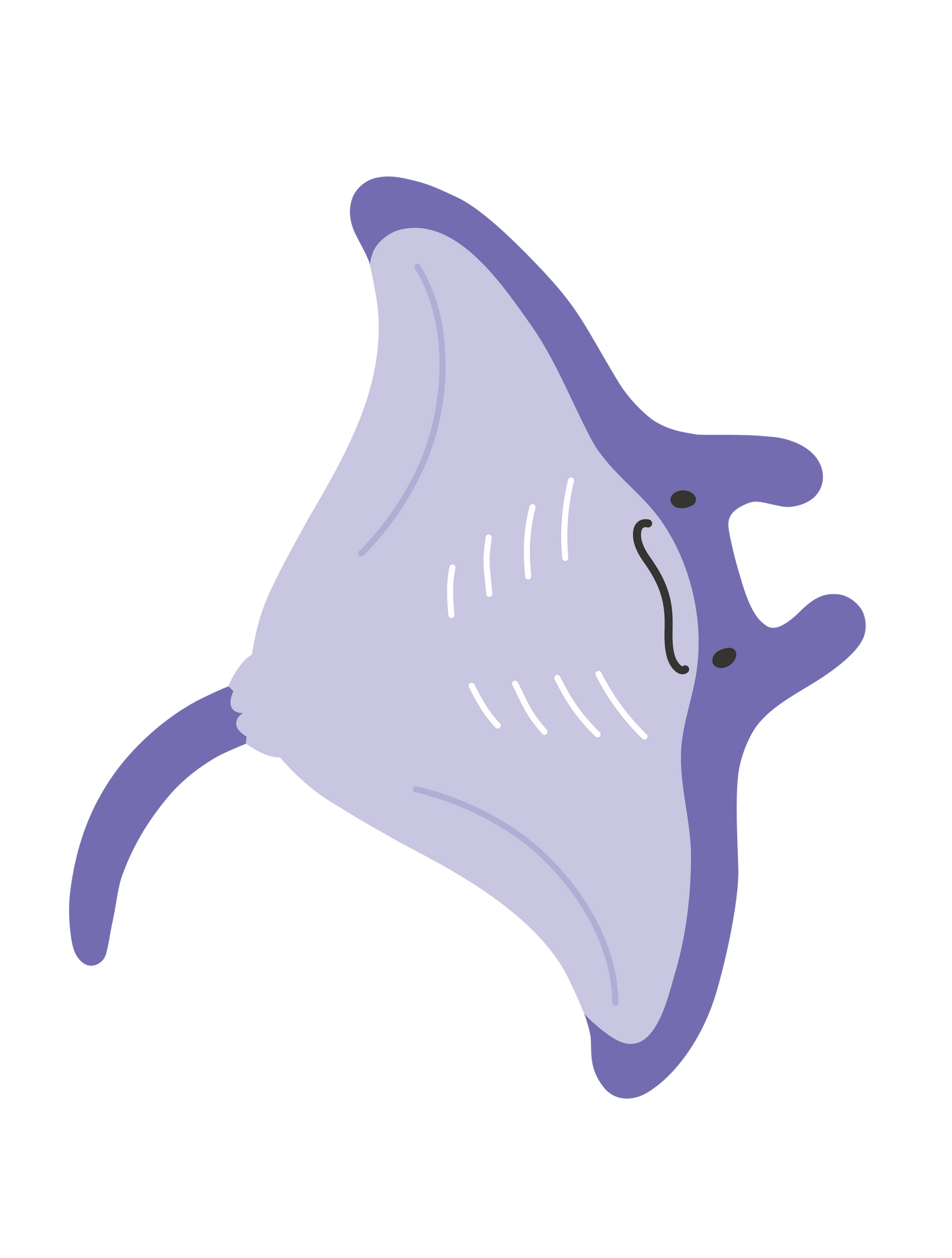 海の生き物_エイ