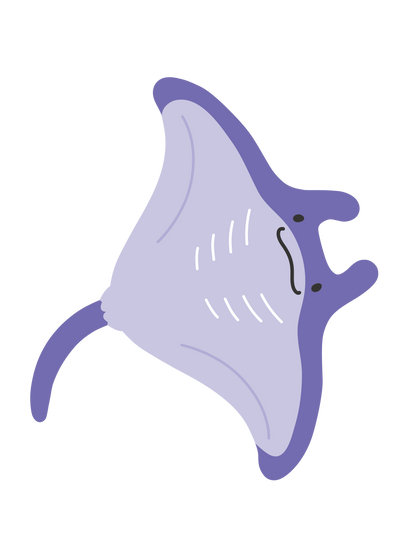 海の生き物_エイ