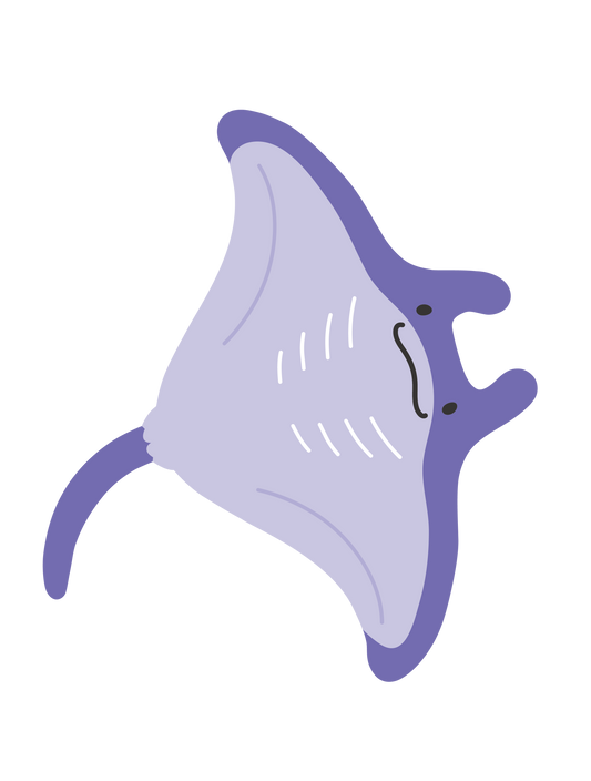 海の生き物_エイ