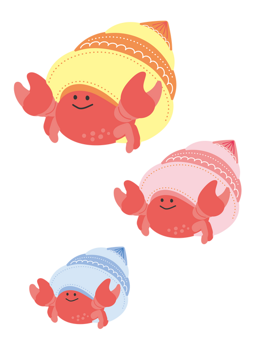 海の生き物_ヤドカリ
