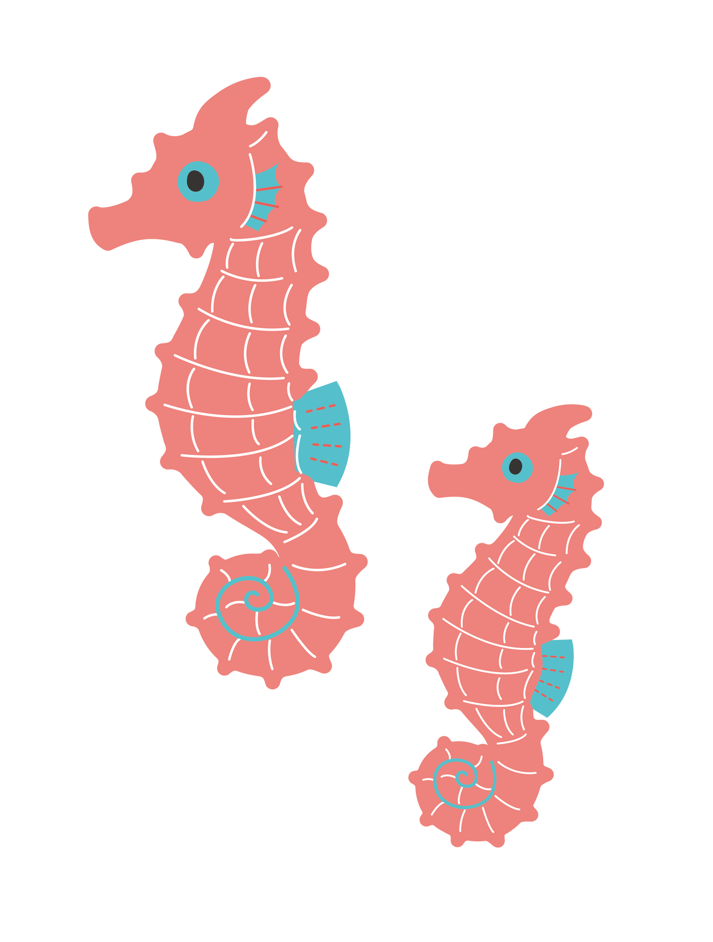 海の生き物_タツノオトシゴ