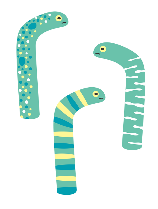 海の生き物_チンアナゴ