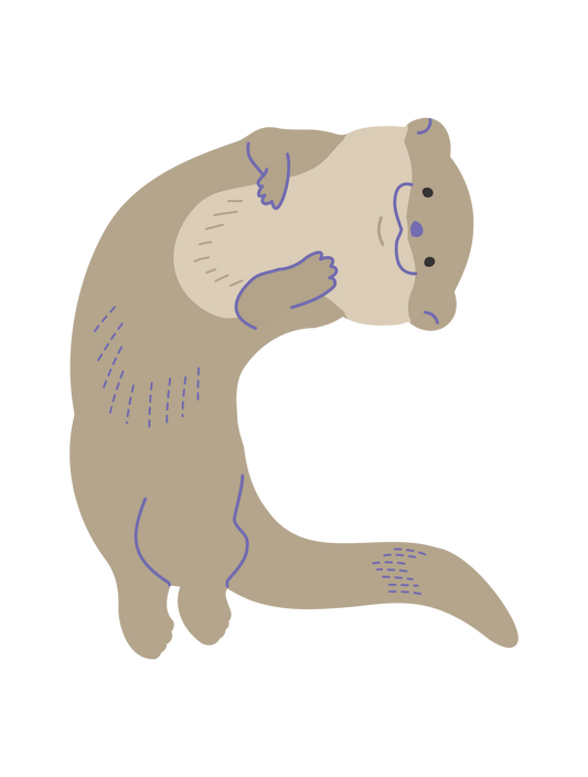 海の生き物_カワウソ