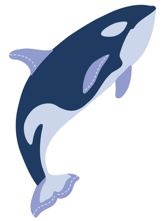 海の生き物_シャチ