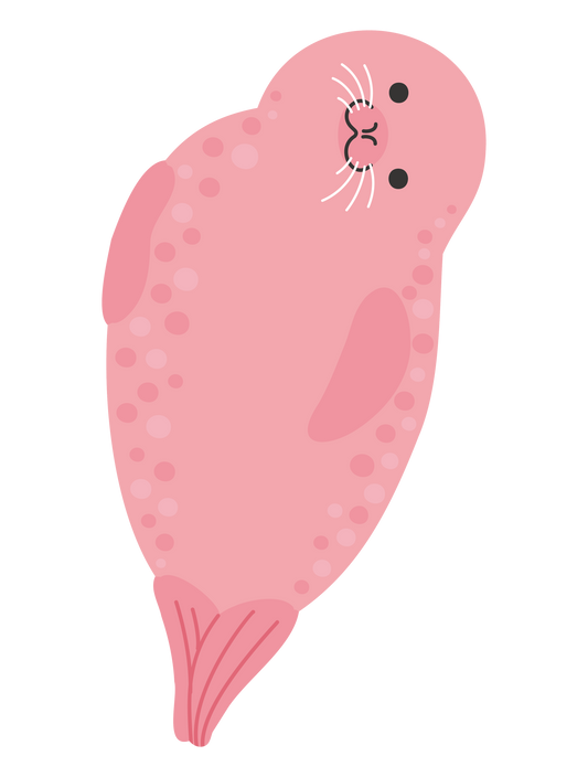 海の生き物_アザラシ