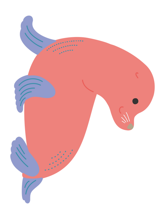 海の生き物_アシカ
