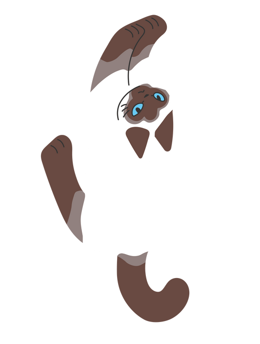 キャットT_シャム