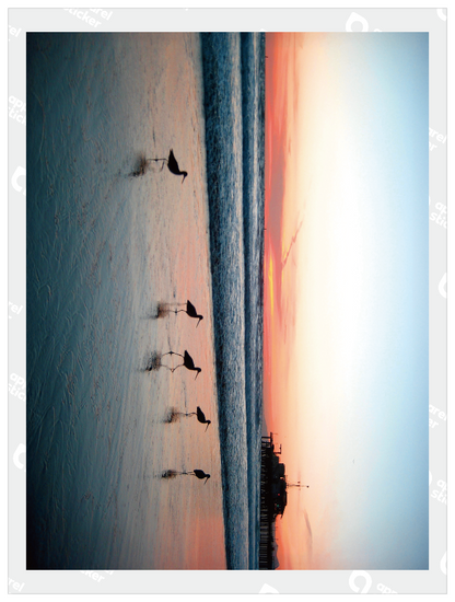 QMO Photo_USA_09