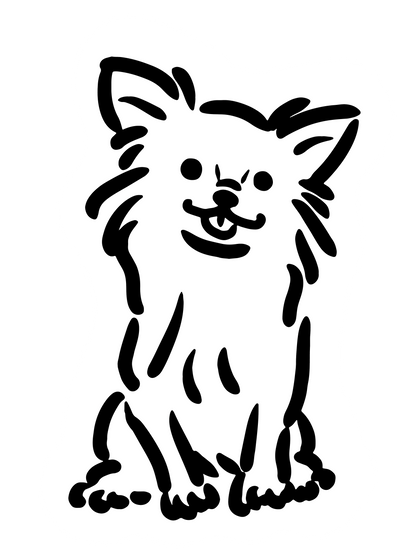 sui09