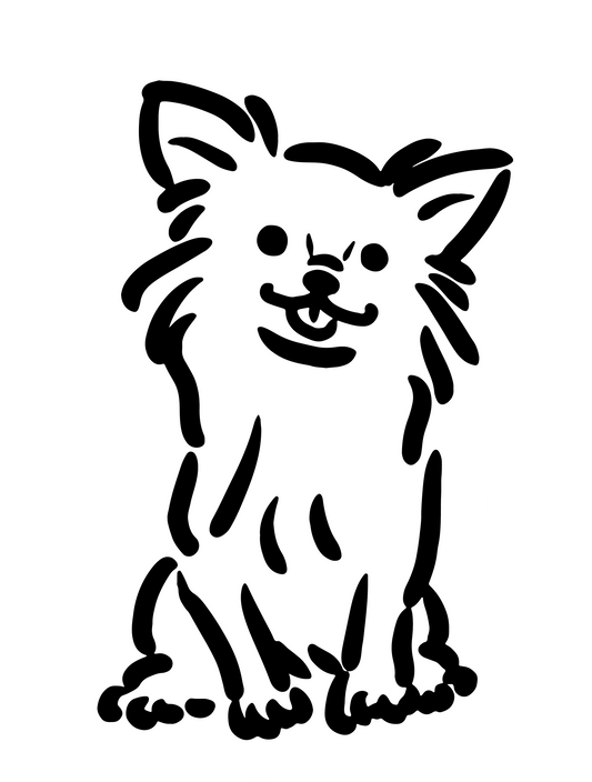 sui09