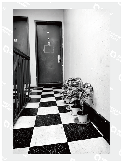 QMO Photo_USA_67
