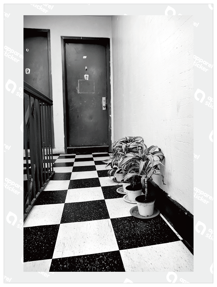 QMO Photo_USA_67