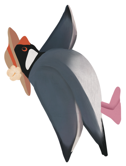 波乗り_文鳥