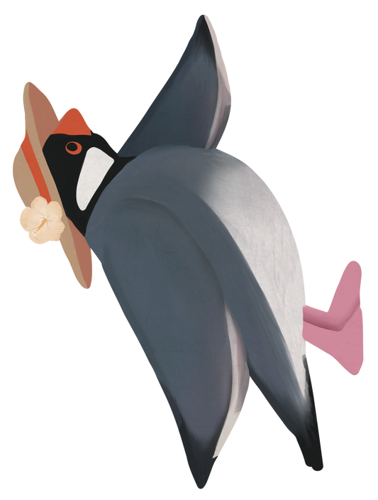 波乗り_文鳥