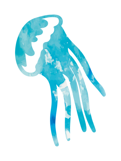 クラゲ