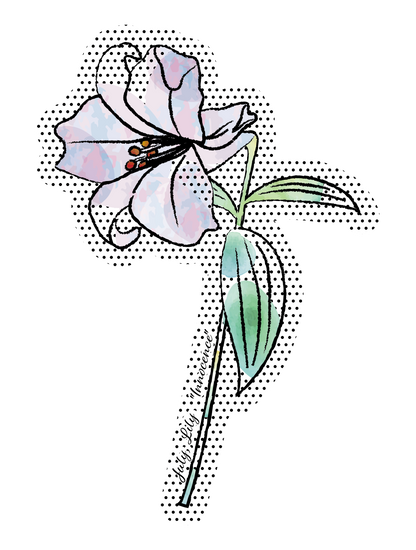 誕生花_7月 ユリ「無垢」