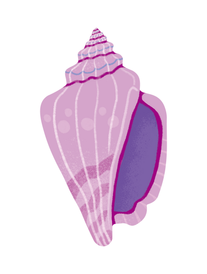 カラフル貝_02