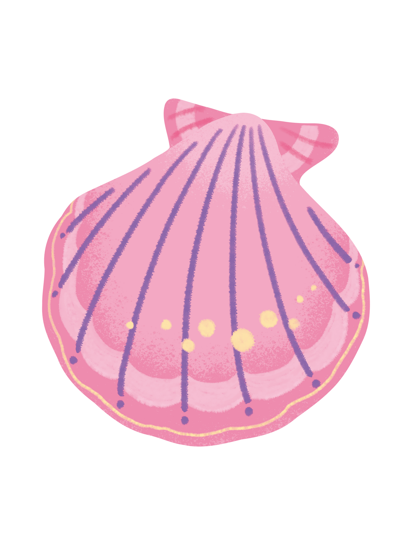 カラフル貝_05
