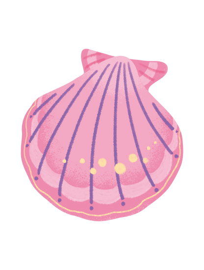 カラフル貝_05
