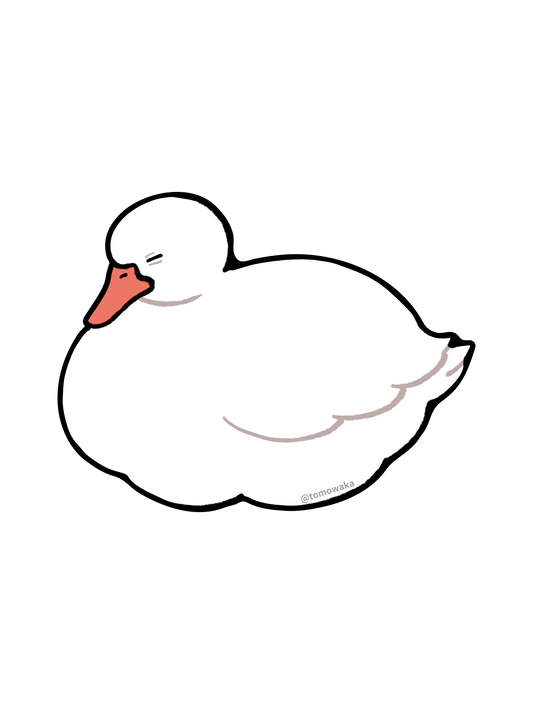 ともわか13