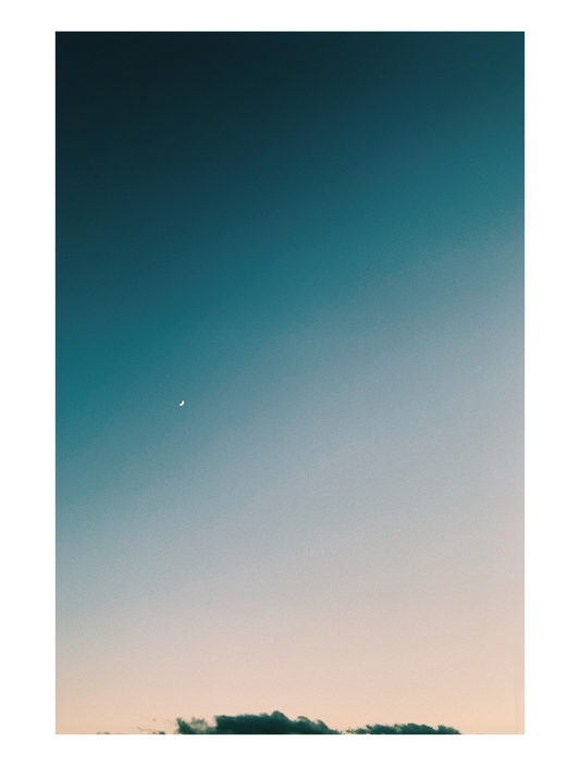 kiwi_フォト_05