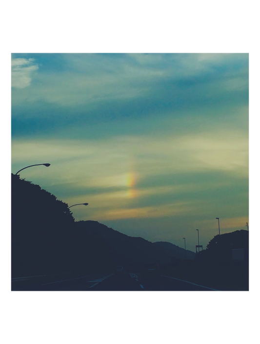kiwi_フォト_10
