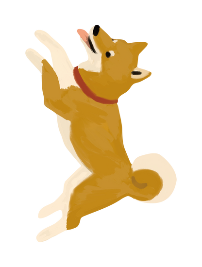 柴犬_01
