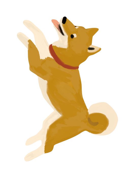 柴犬_01