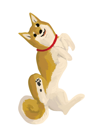 柴犬_02