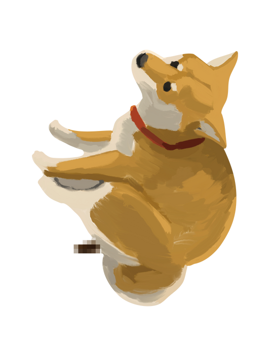 柴犬_03