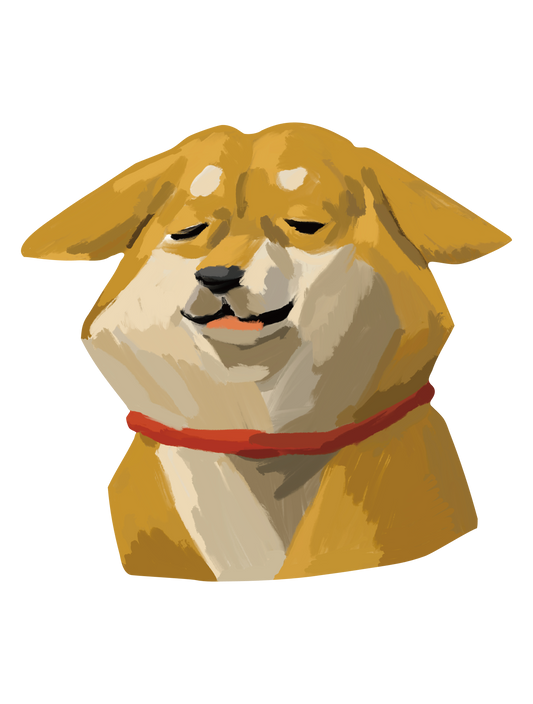 柴犬_04