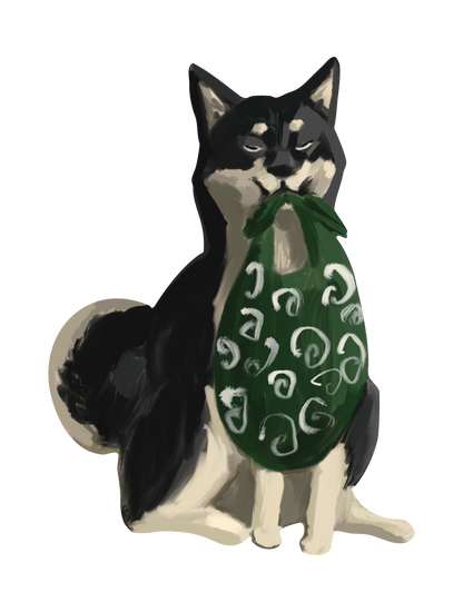 柴犬_05