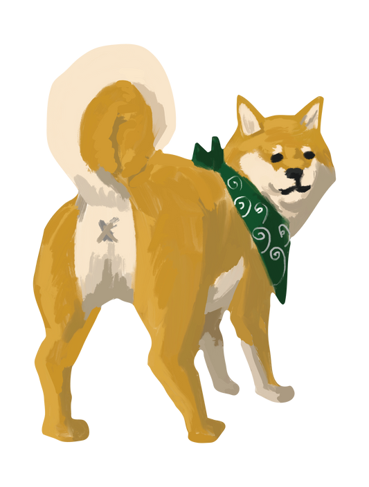 柴犬_07