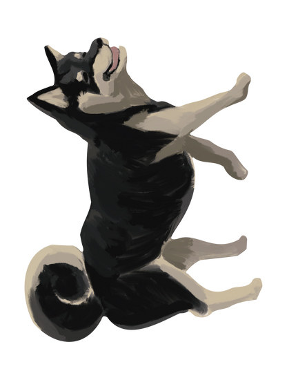 柴犬_08