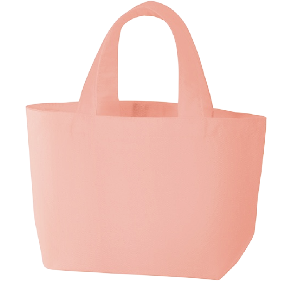 キャンバスデイリートート