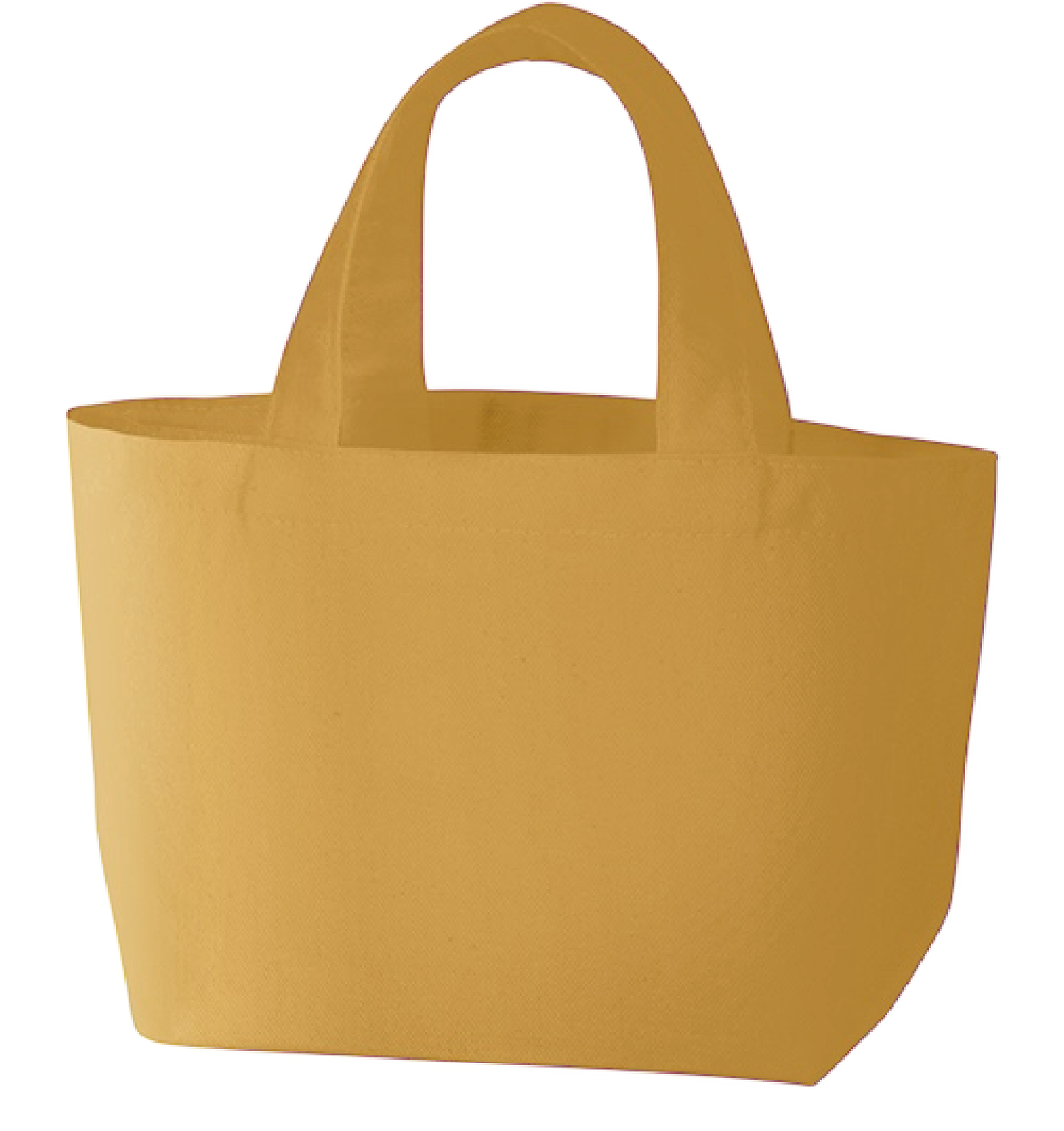 キャンバスデイリートート